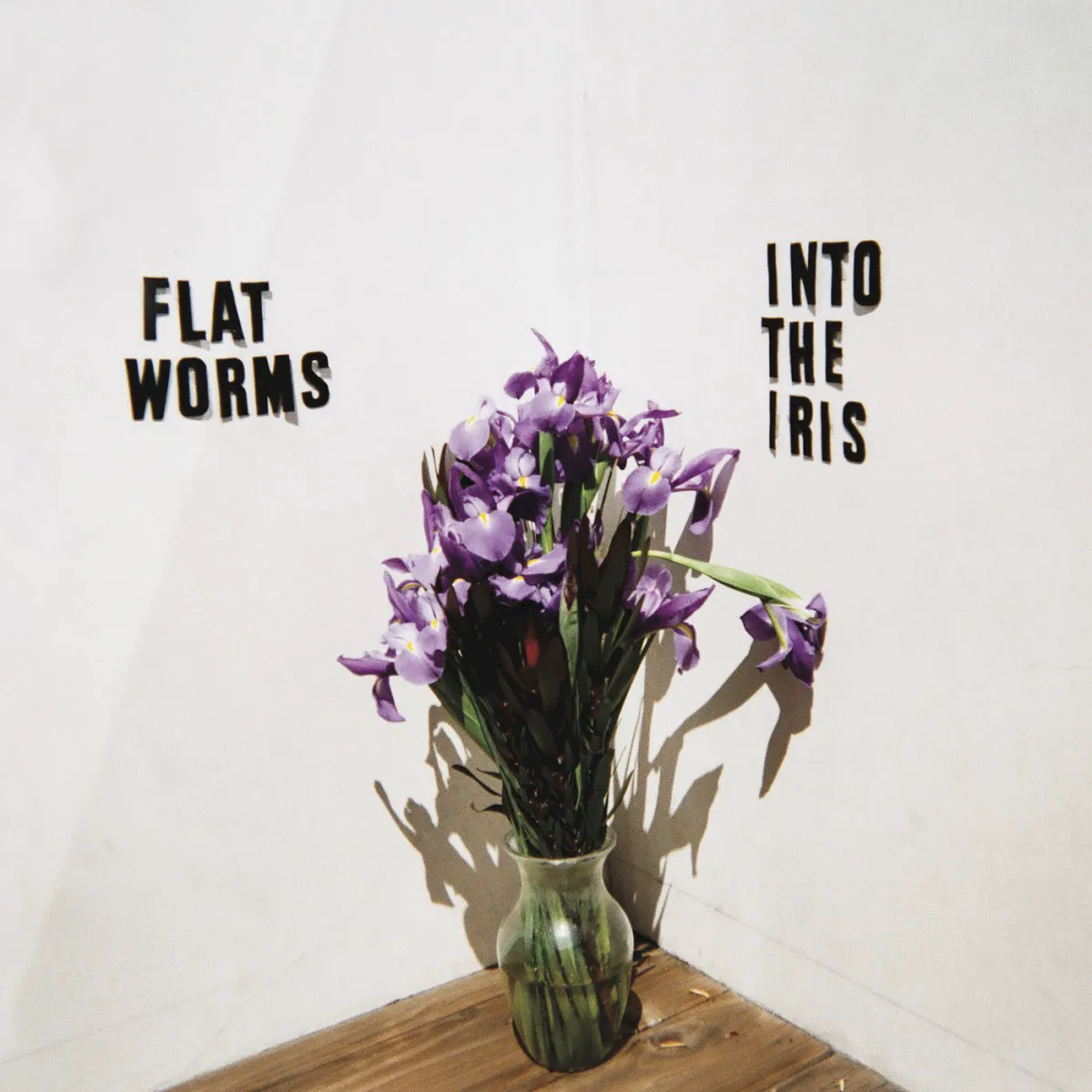 Obal alba Flat Worms – Into the Iris