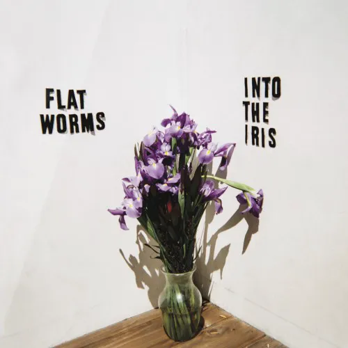 Obal alba Flat Worms – Into the Iris
