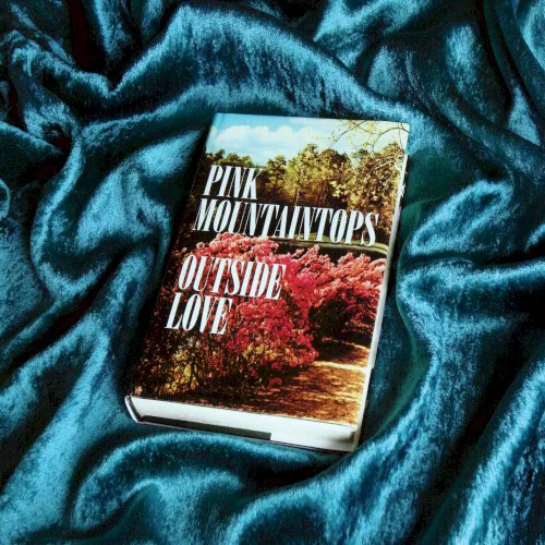 Cover of Pink Mountaintops – Outside Love