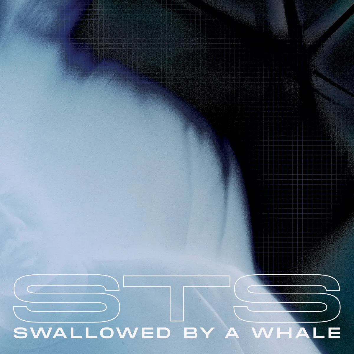 Obal alba Swallowed By A Whale