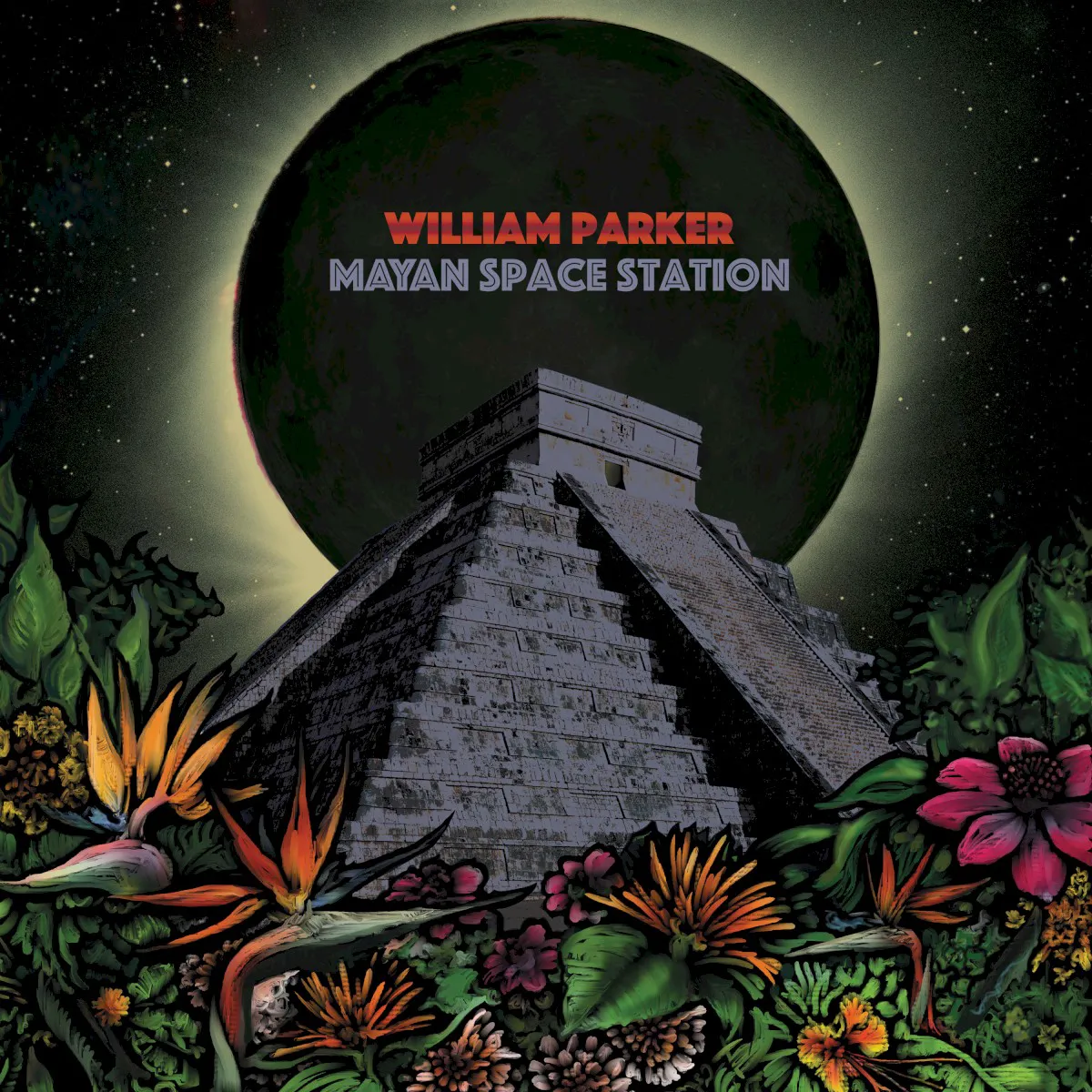 Cover of Mayan Space Station