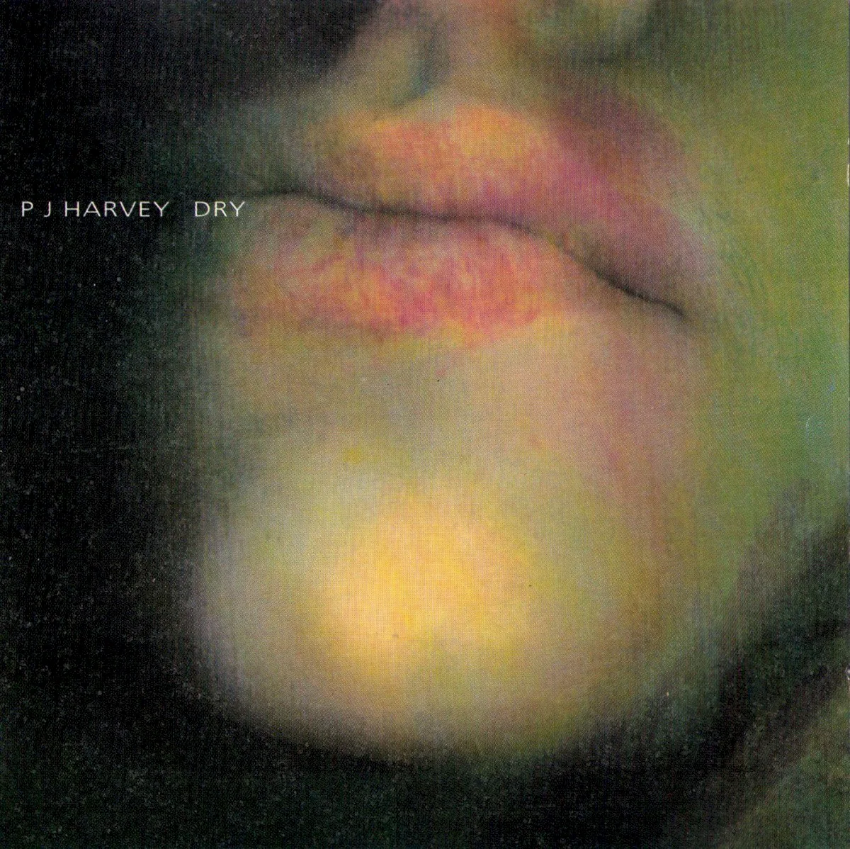 Cover of PJ Harvey – Dry