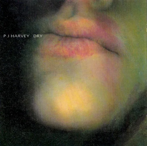 Cover of PJ Harvey – Dry