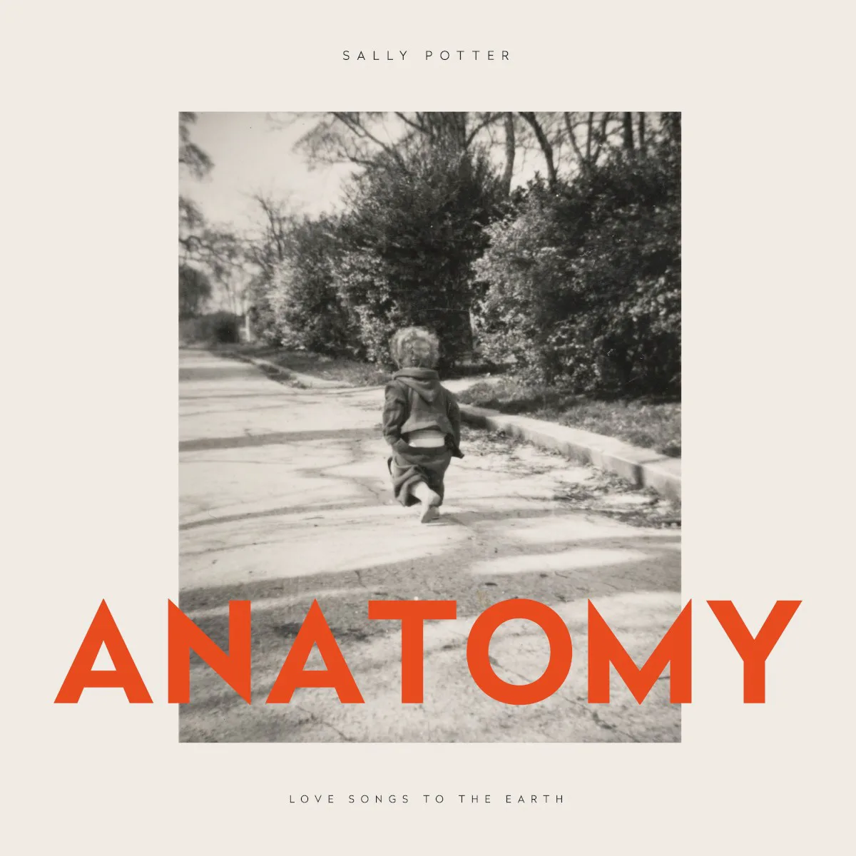 Cover of Sally Potter – Anatomy