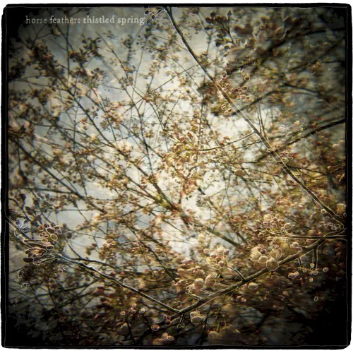 Cover of Horse Feathers – Thistled Spring