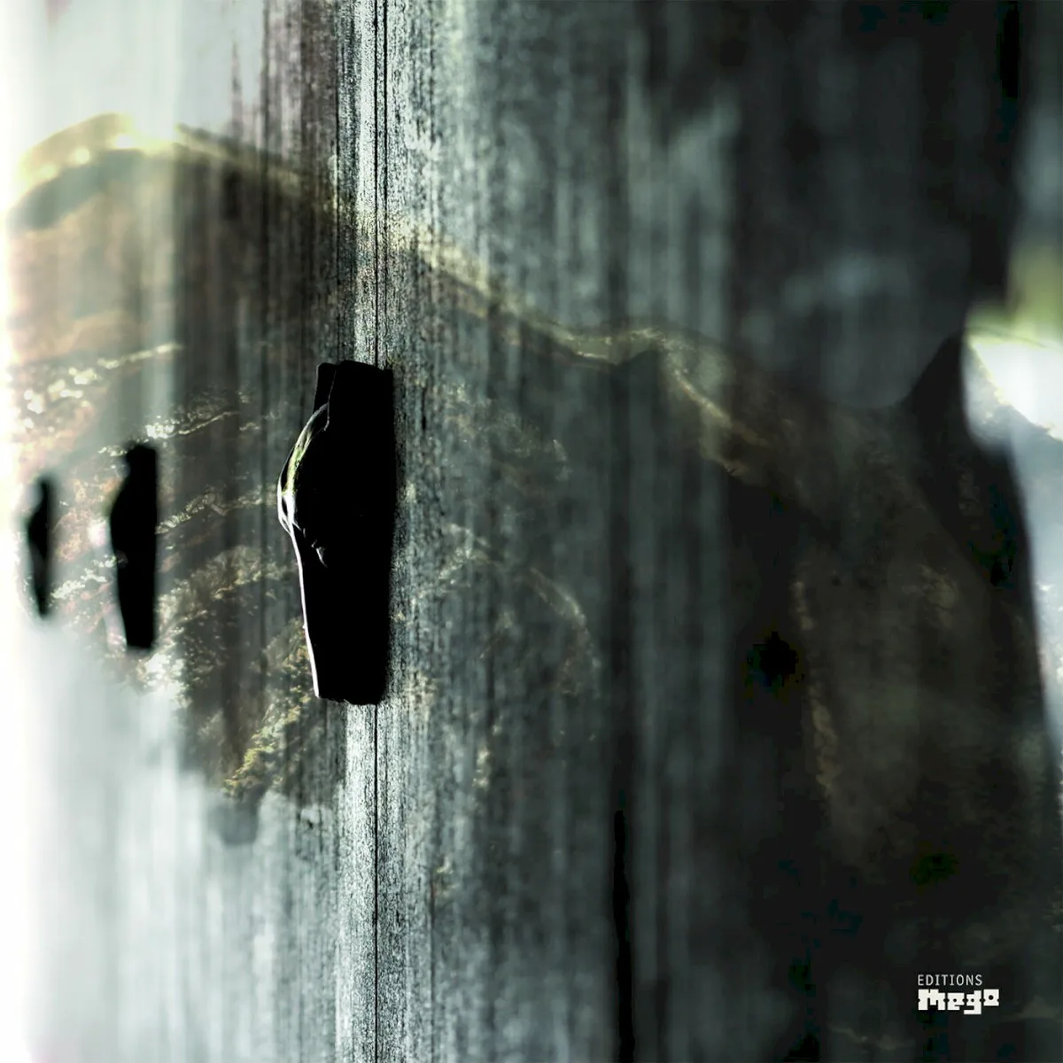 Cover of Rivet – On Feather and Wire
