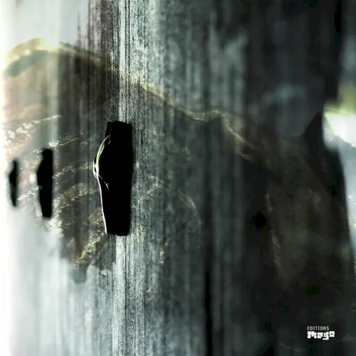 Cover of Rivet – On Feather and Wire