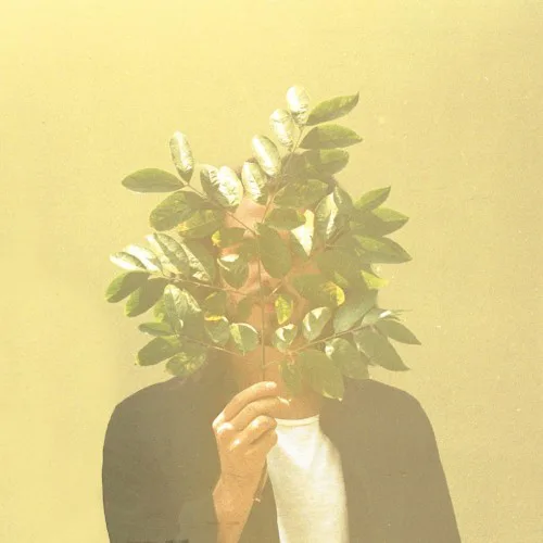 Cover of FKJ – French Kiwi Juice