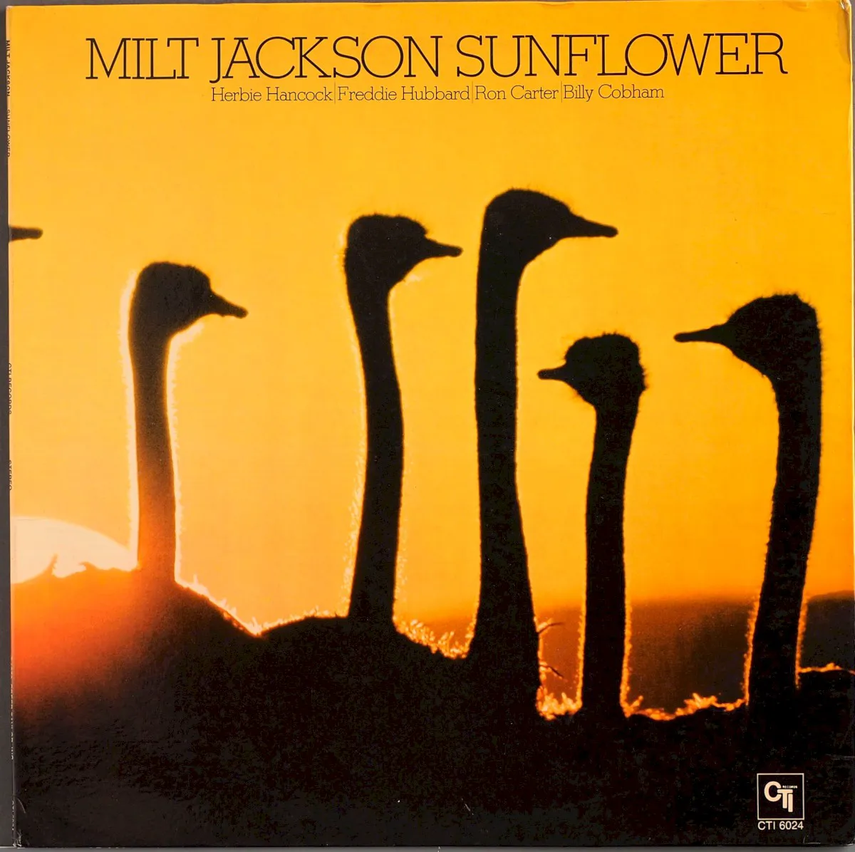 Obal albumu Sunflower