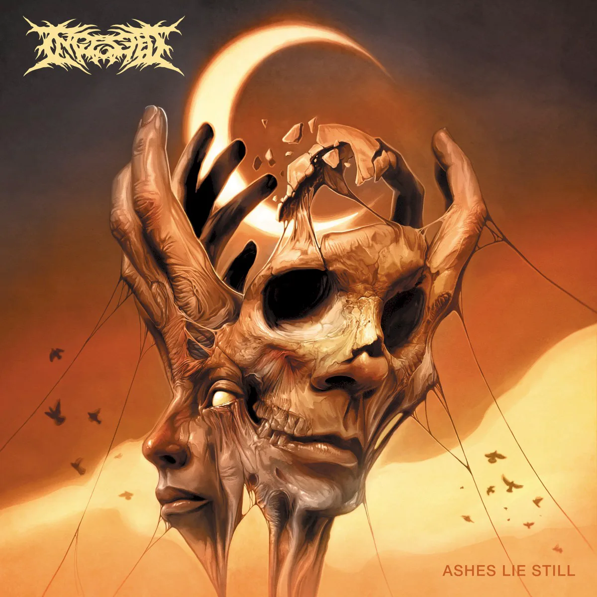 Obal alba Ingested – Ashes Lie Still