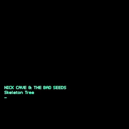 Obal alba Nick Cave & the Bad Seeds – Skeleton Tree