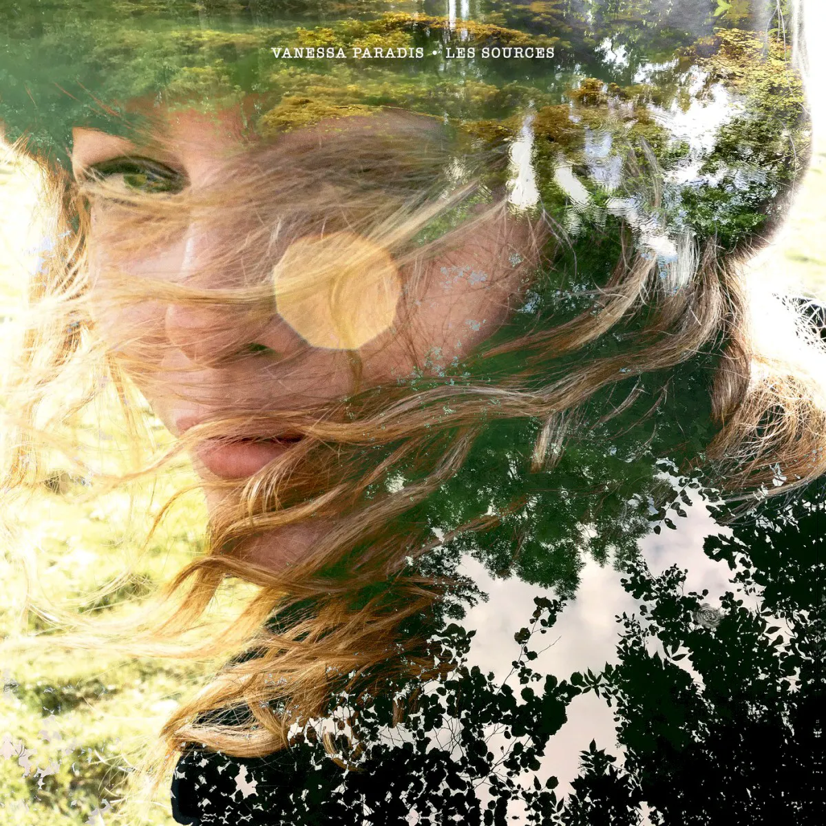 Cover of Les Sources