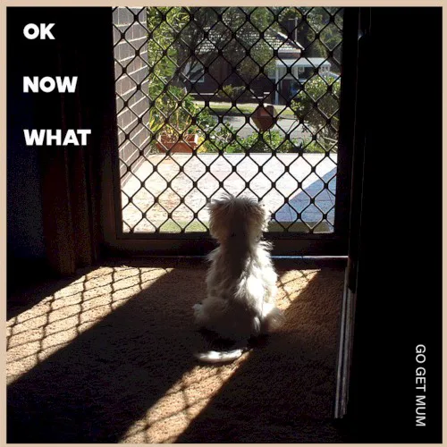 Go Get Mum