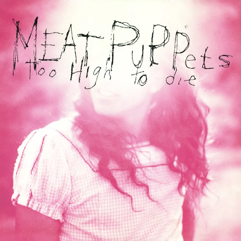 Cover of Too High to Die