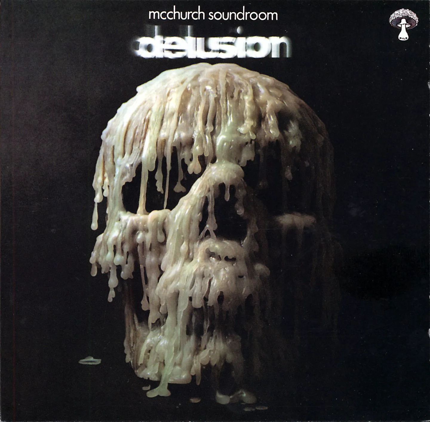 Cover of McChurch Soundroom – Delusion