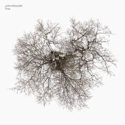 Obal alba John Metcalfe – Tree