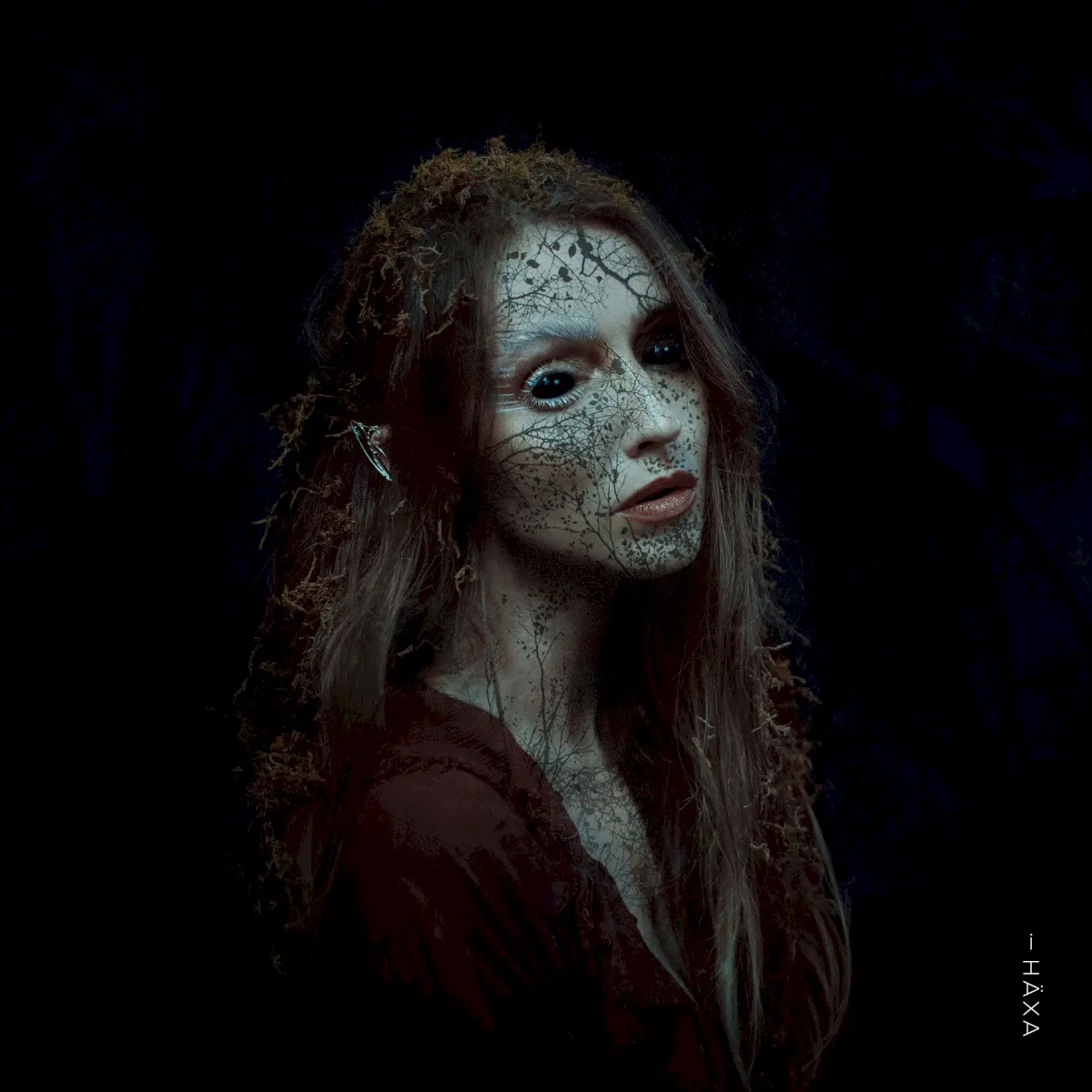 Cover of i Häxa