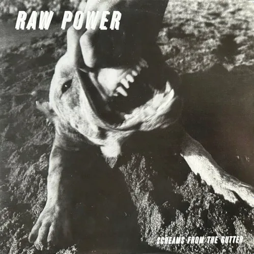 Raw Power
