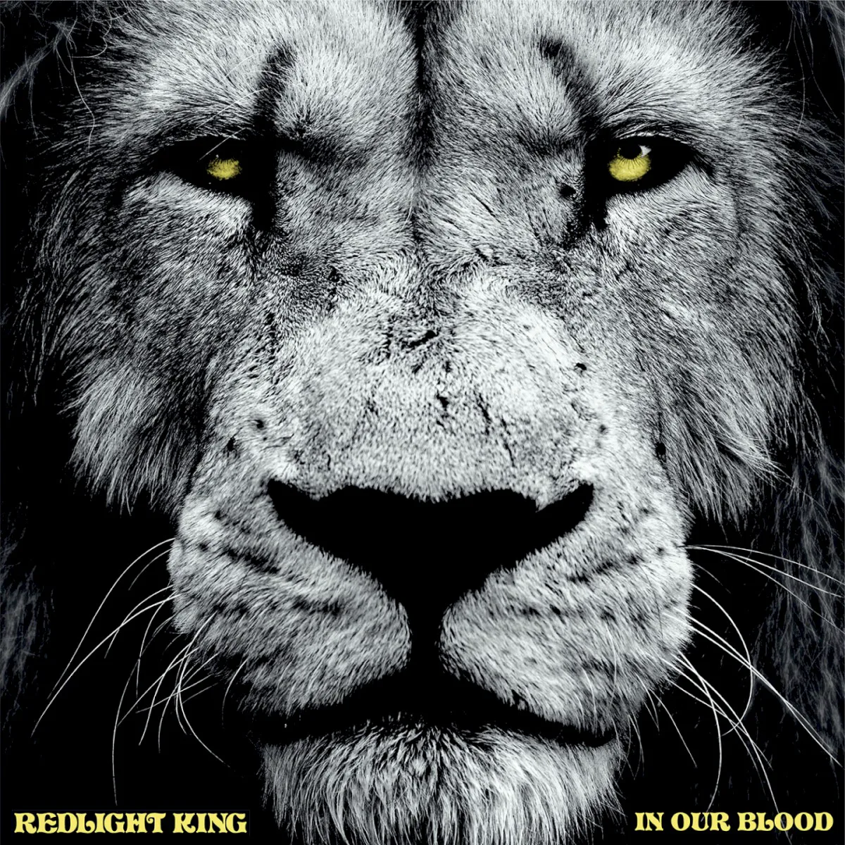 Cover of Redlight King – In Our Blood