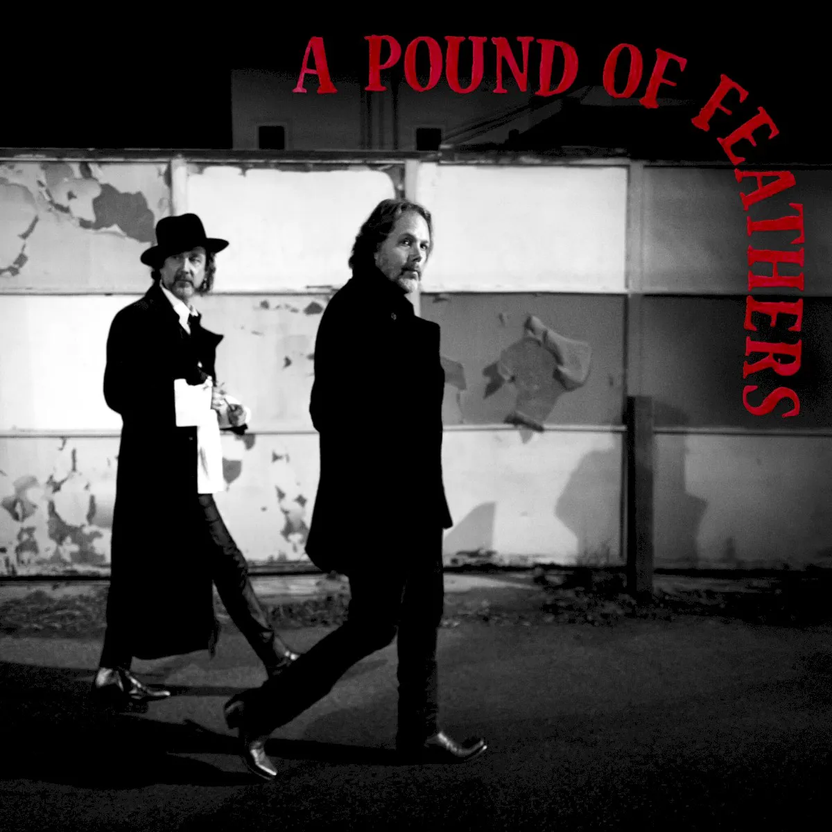 Cover of A Pound of Feathers