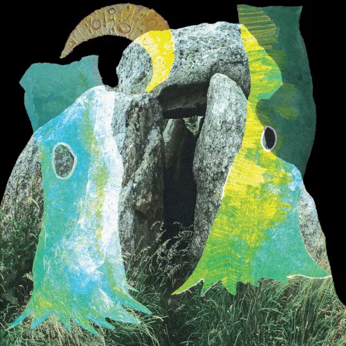 Cover of Plantoid – Flare