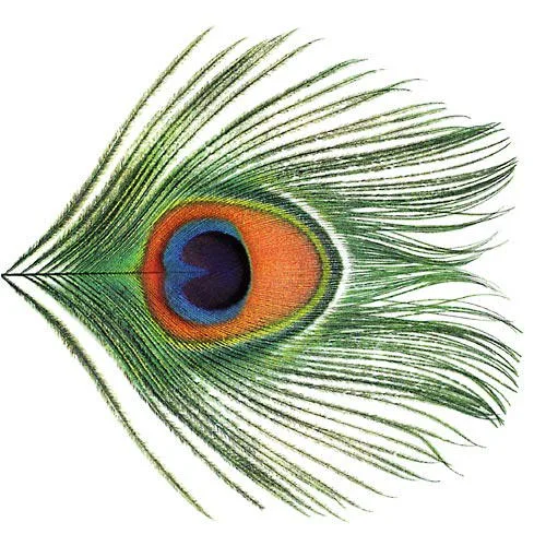 Cover of XTC – Apple Venus, Volume 1