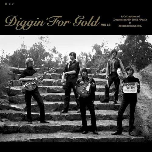 Obal alba Various Artists – Diggin' For Gold Vol 12