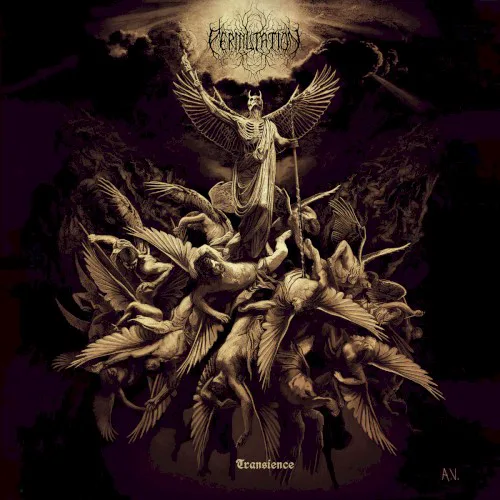 Cover of Permutation – Transience