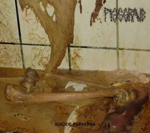 Obal alba Suicide Euphoria