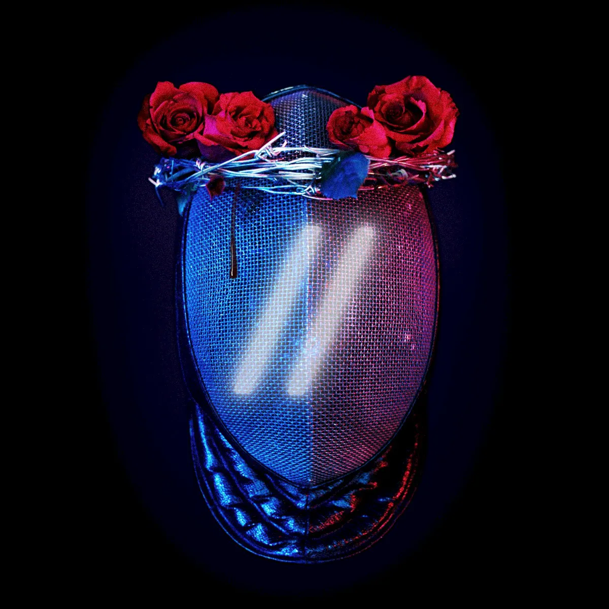 Cover of Different