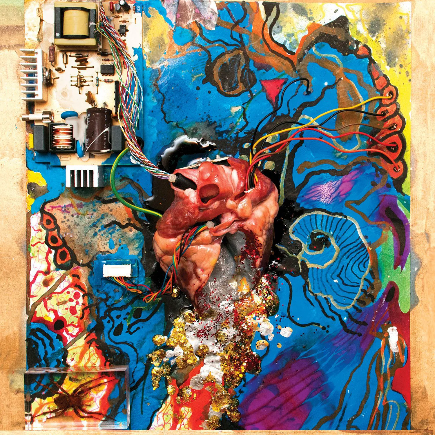 Obal alba Timmy's Organism – Heartless Heathen