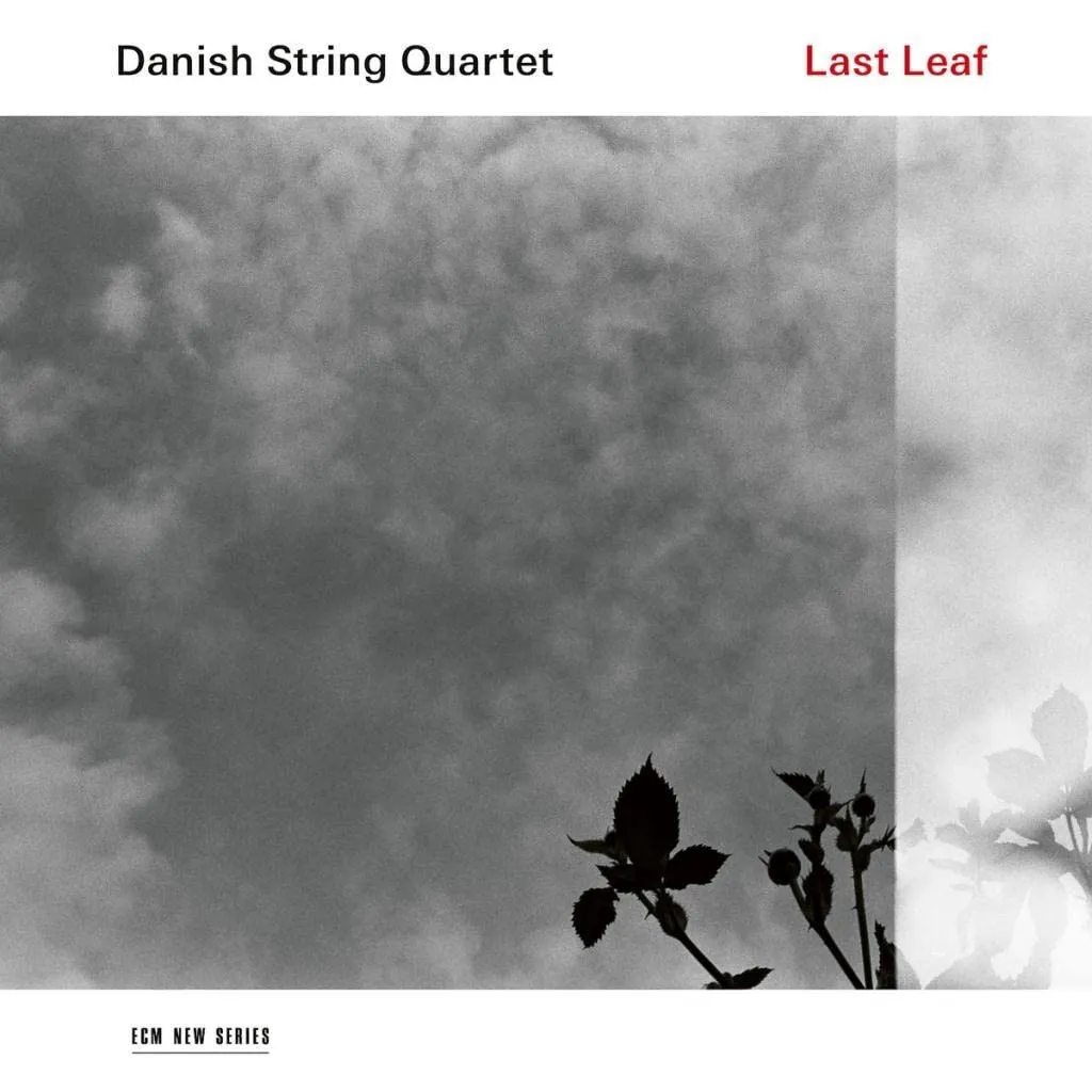 Obal alba Last Leaf
