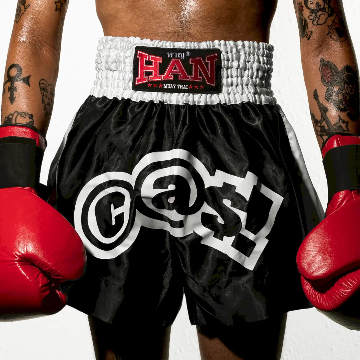 Cover of CASI
