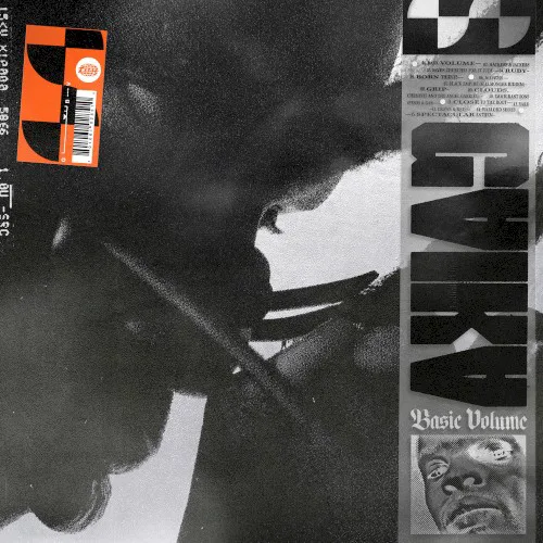 Cover of Gaika – Basic Volume