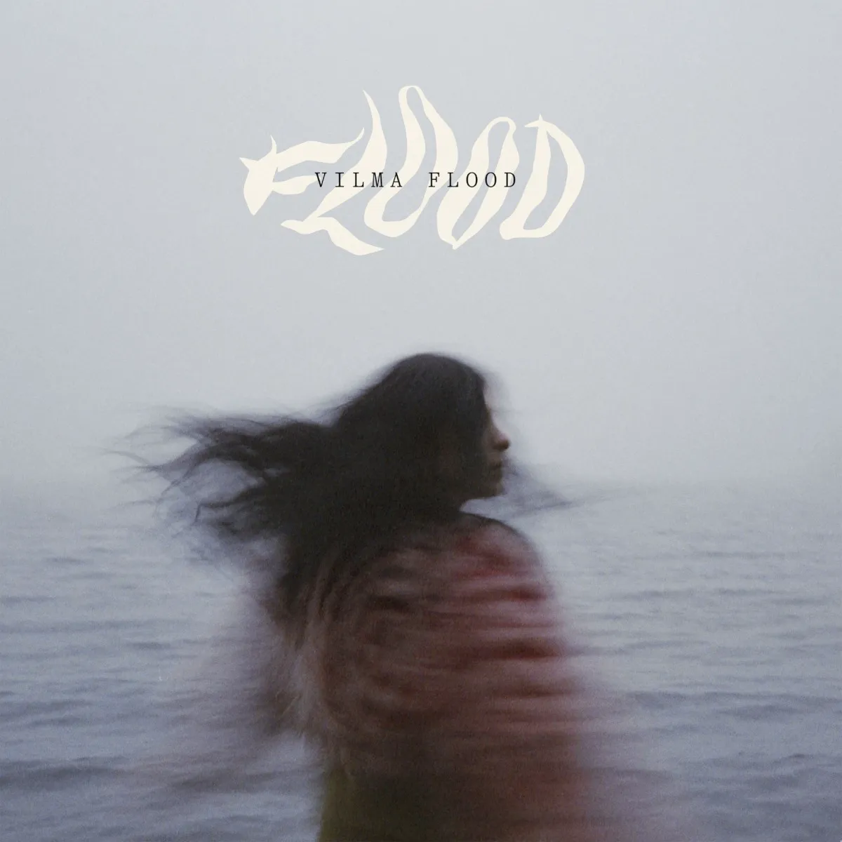 Obal alba Vilma Flood – Flood