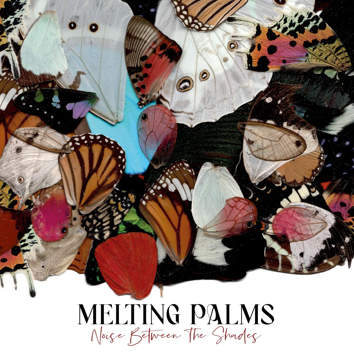 Cover of Melting Palms – Noise Between the Shades