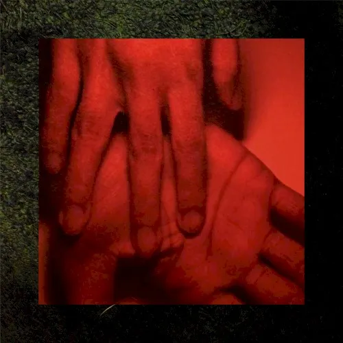 Obal alba Rachika Nayar – Our Hands Against the Dusk
