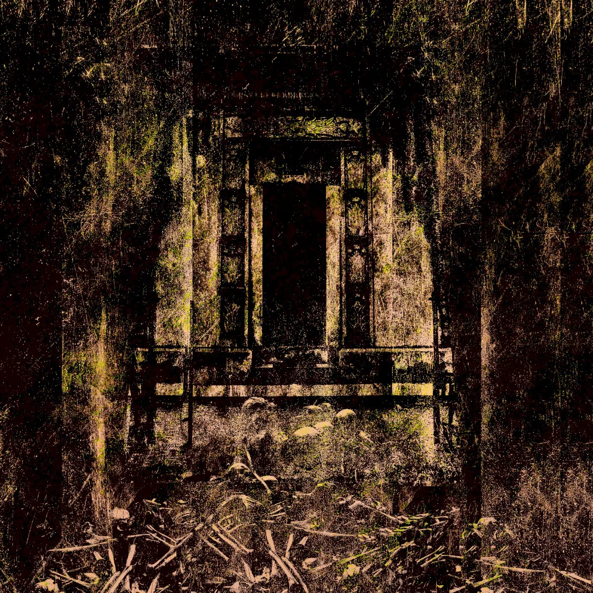 Cover of Coffin Lurker – Foul and Defiled