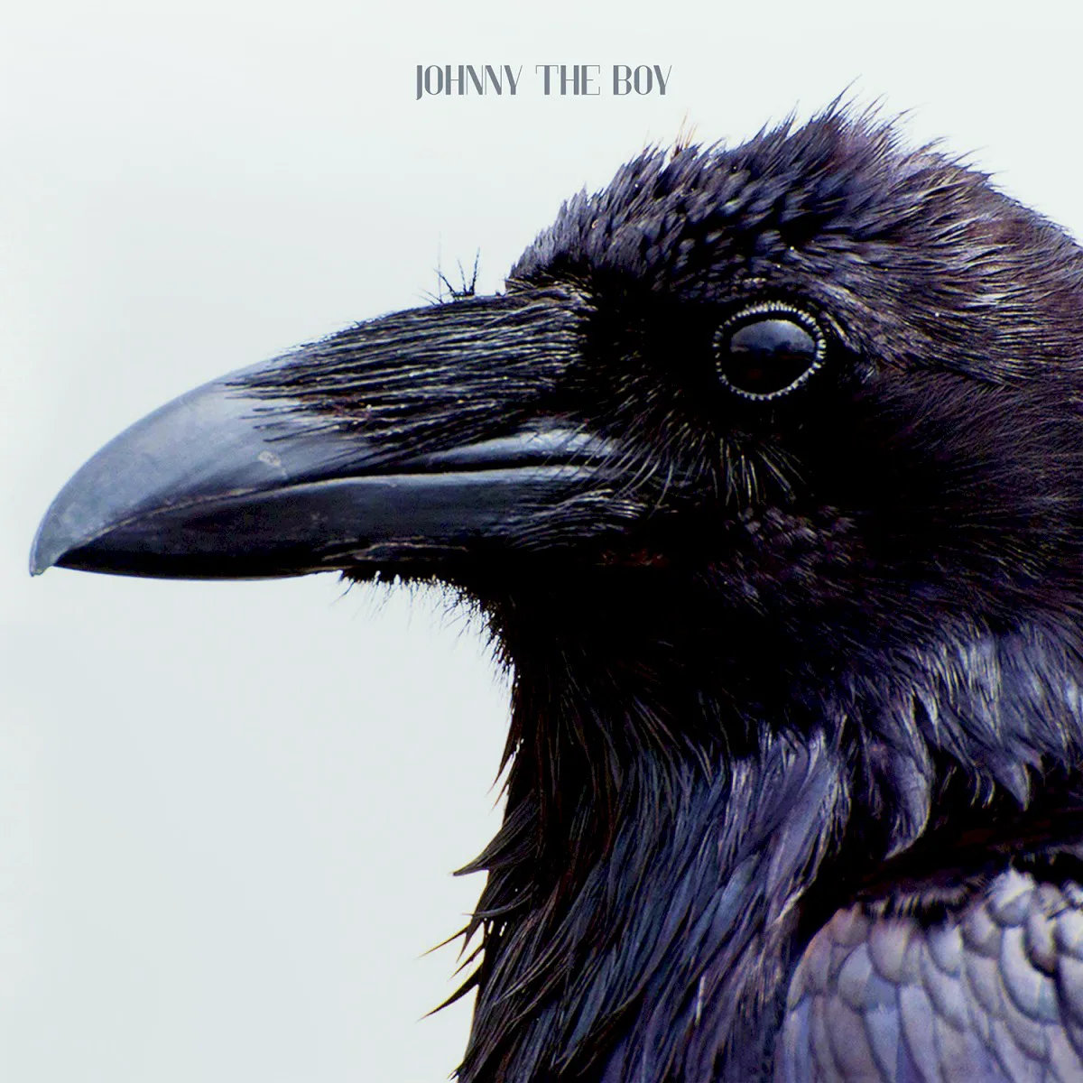 Cover of Johnny the Boy – You