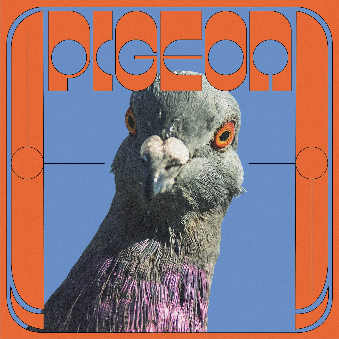 Cover of Pigeon – Yagana
