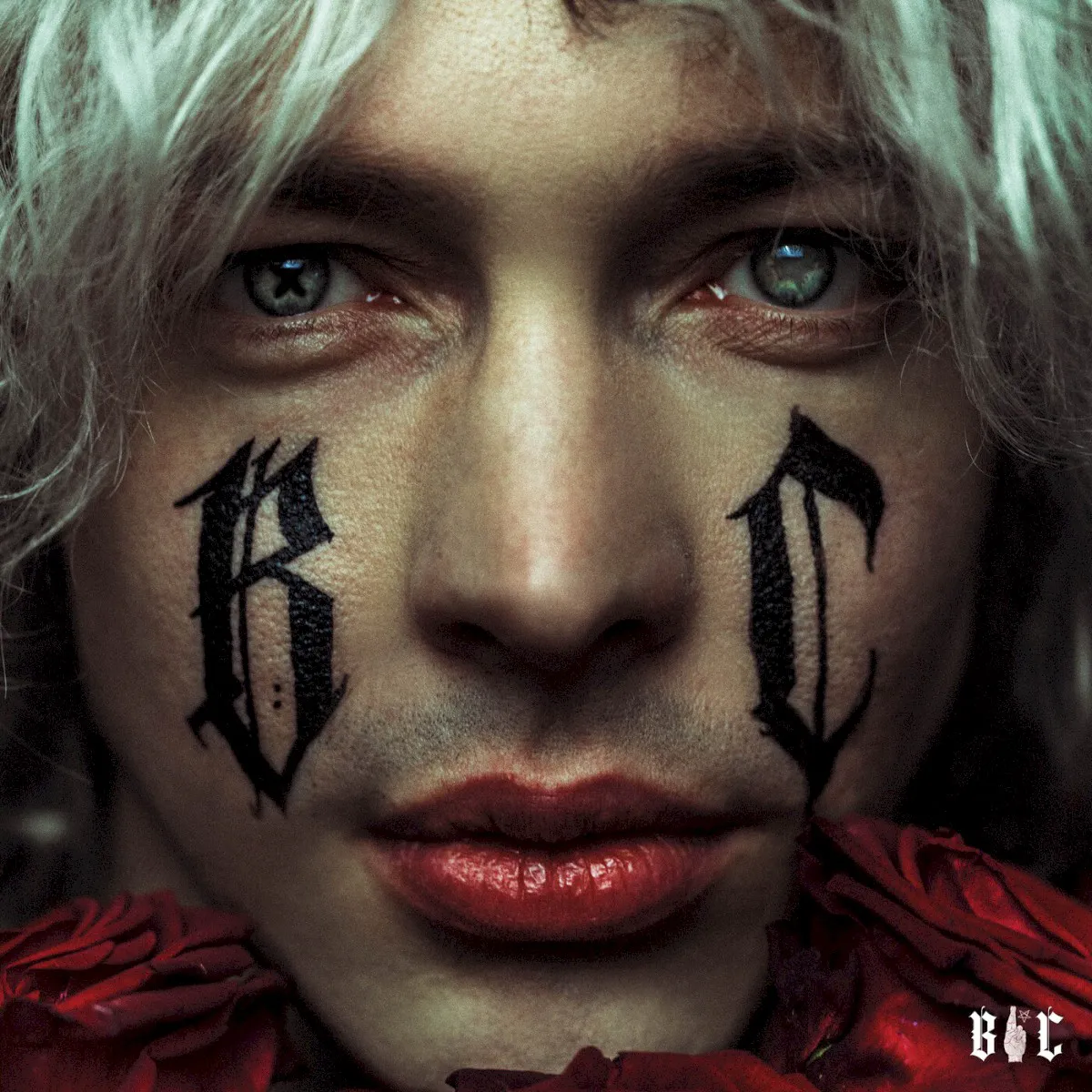 Cover of Barns Courtney – Supernatural