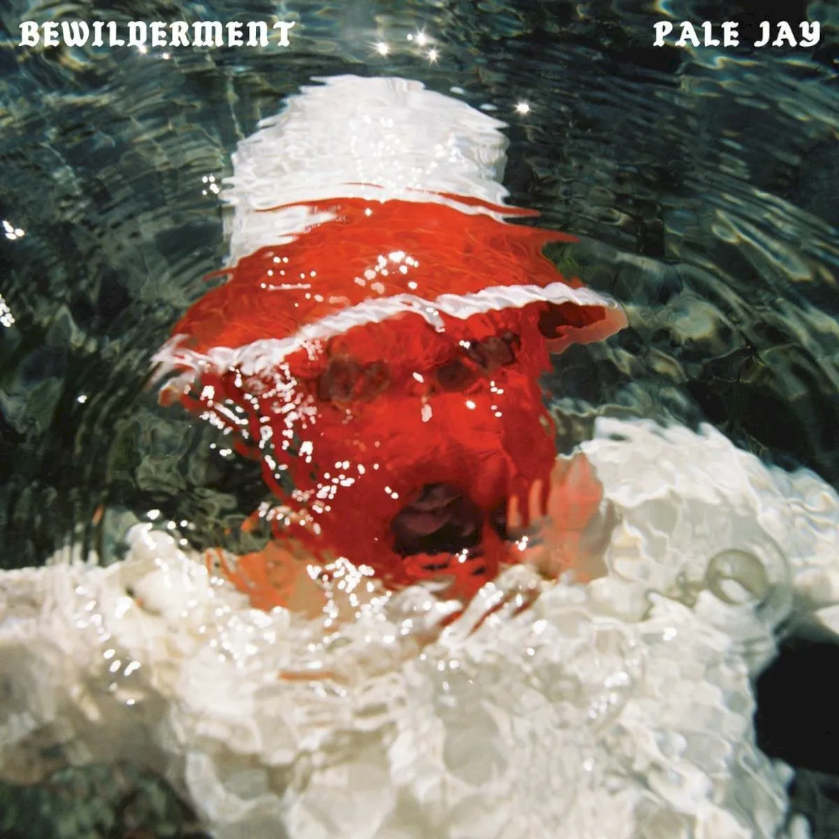 Obal albumu Bewilderment