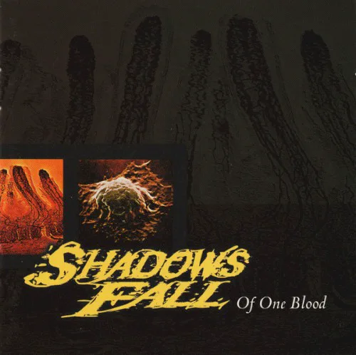 Obal alba Shadows Fall – Of One Blood