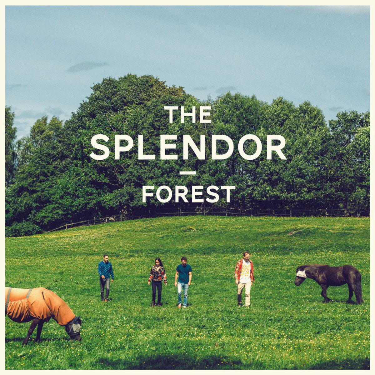Obal alba The Splendor – Forest