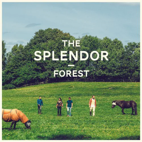 Obal alba The Splendor – Forest