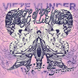 Cover of Vieze vlinder