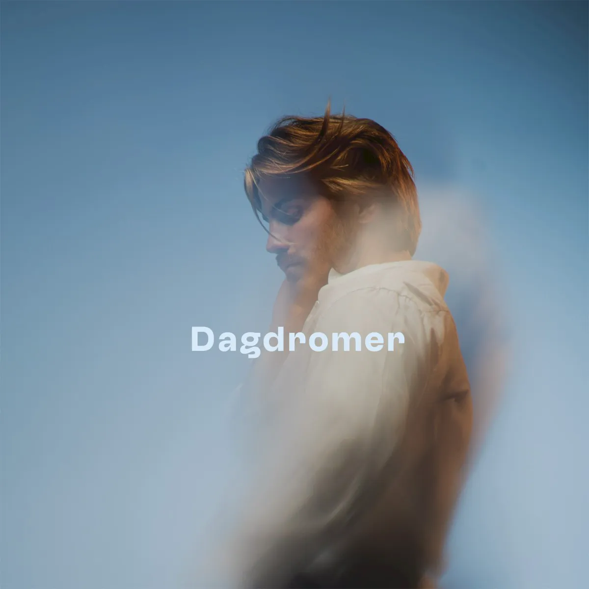 Cover of Dagdromer
