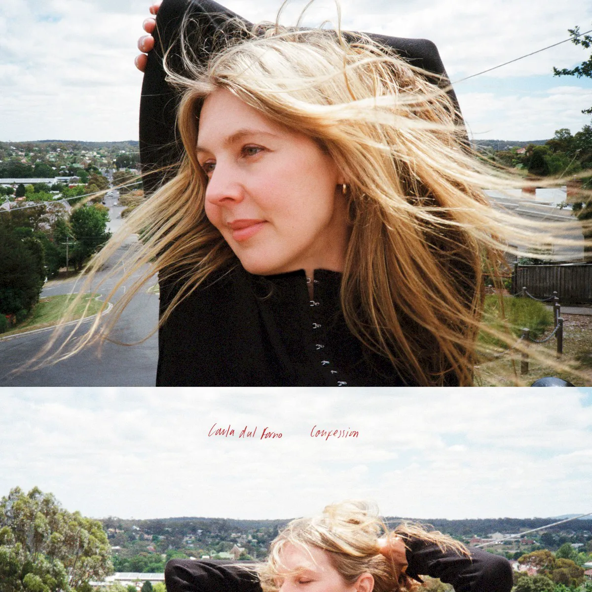 Cover of Confession