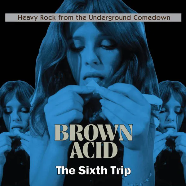 Obal albumu Brown Acid: The Sixth Trip