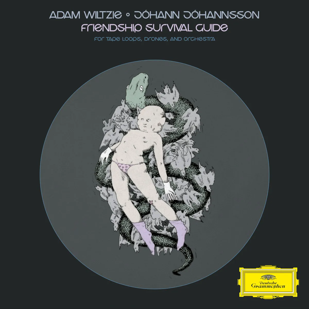 Cover of Jóhann Jóhannsson, Adam Wiltzie – Friendship Survival Guide